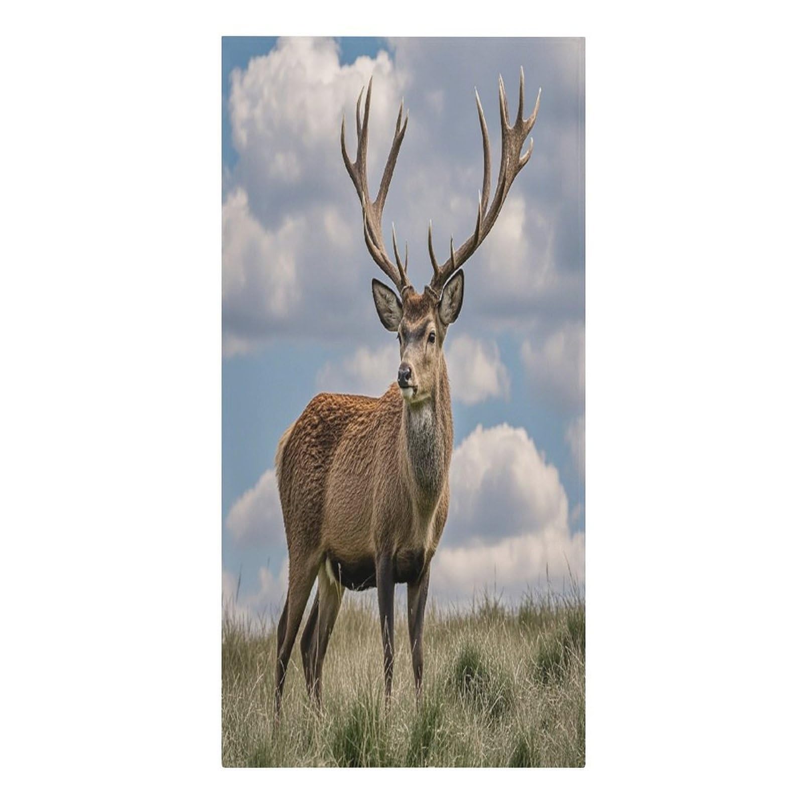 FekiLoot Elk Beach Towel Sand Free Quick Dry Travel Towels Extra Large Big Pool Swim Towels Soft Absorbent Beach Blanket for Vacation Essentials Adult Gift 30" X 61"