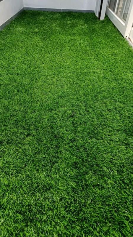 Garden® Imported American Bermuda Lawn Grass Seeds For Lawn, Sport Grounds & Garden (Packet Of 200 Gram Seeds)