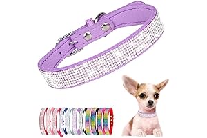 Purple Sparkle Dog Collar for Medium Female Dogs