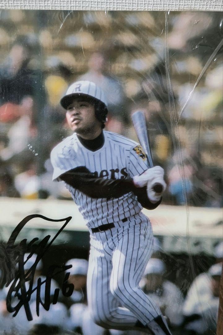 阪神優勝記念バット 2003年 星野仙一監督 サイン入り 阪神V目前企画 あの