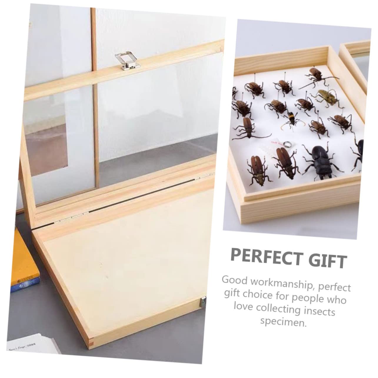 HOMOCONO Entomology Collection Box Display Case for Butterflies Specimen Wooden Storage Box Lock