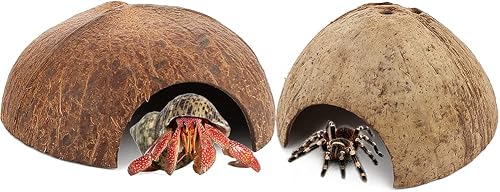 DQITJ 2 Pack Spider Coconut Shell Shelter, Hermit Crab Hideout, Lizard Hiding Cave, Turtle Rest Hut, Fish Tank Aquarium Decoration