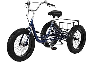 20 Inch Fat Tire Adult Tricycle: Enjoy the Breeze with Comfort and Stability