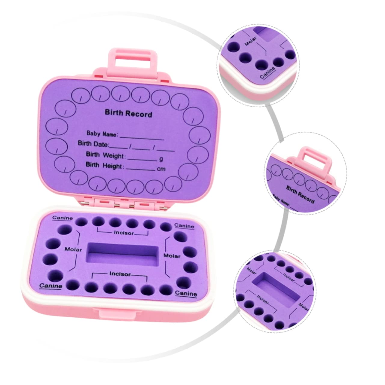 TOYANDONA Caja De 2 Piezas Caja De De Leche Organizador De Almacenamiento De Caja De Memoria Dental Primeros Niño Pequeño Lindo Páginas Bandeja De Almacenamiento