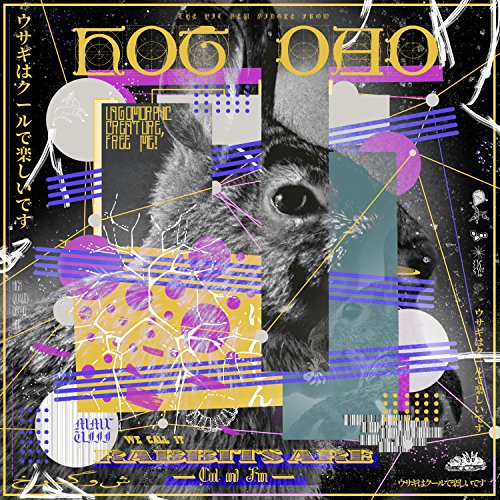 Rabbits Are (Cool and Fun)