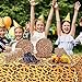 16 Stück 17,8 cm Safari Leopard Tierdruck Dessert Pappteller Einwegteller Zoo Tierdruck Party Pappteller Leopard Texture Theme Paper Plates für Babyparty Leoparden-Themen-Geburtstagsfeiern Dekoration