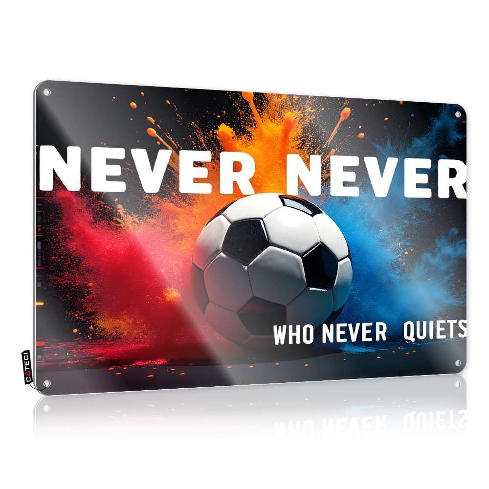 Fzfn Colour Tin Metal Decor Funny Ready To Hang - Never Quiets, Always Plays. Reusable For Home(30X40cm)