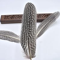 Vista 9 de Flying Feathers Plumas de faisán naturales, 4 estilos de 5.9-7.9 in, 12 plumas naturales para manualidades, decoración de fiesta en el hogar, FF03..