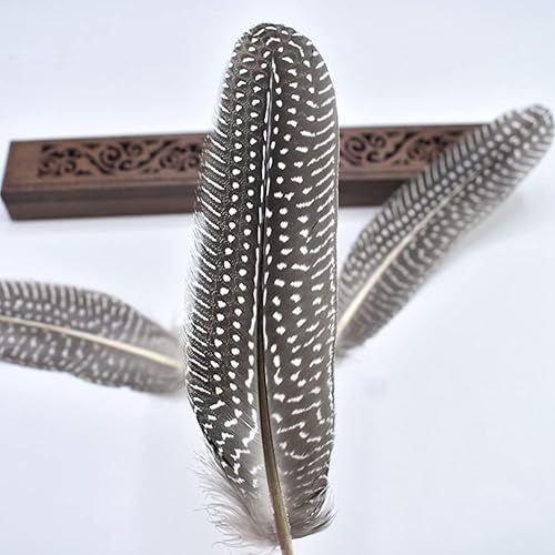 Miniatura 9 de Flying Feathers Plumas de faisán naturales, 4 estilos de 5.9-7.9 in, 12 plumas naturales para manualidades, decoración de fiesta en el hogar, FF03..