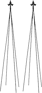 Achla Designs FT-21 Fleur-de-lis, 78-Inch Wrought Iron Garden Stake Trel...