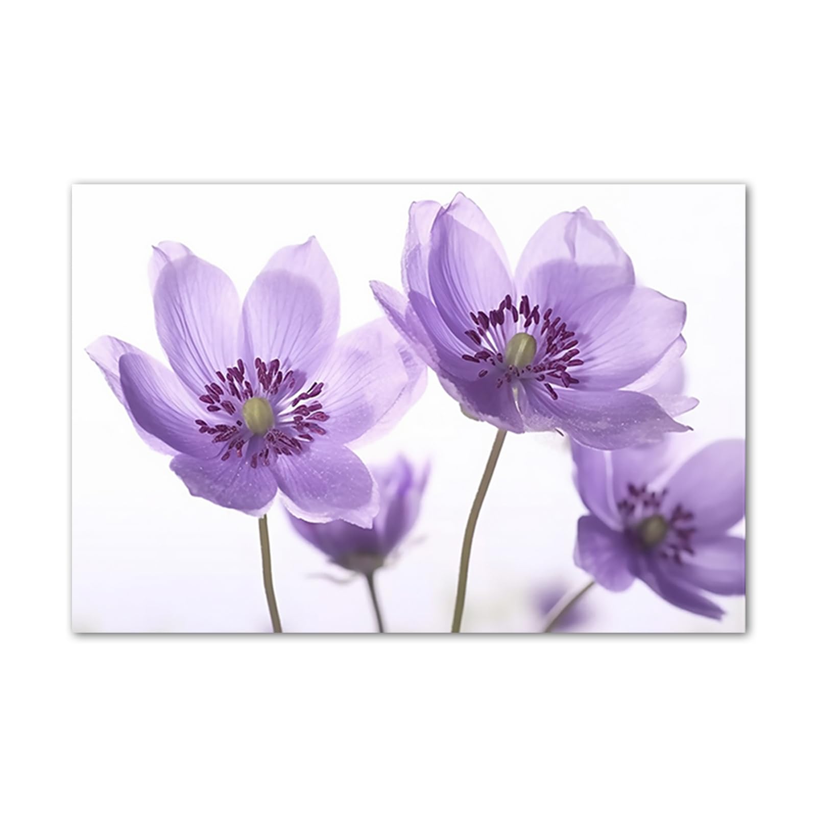 LZIMU 3-teiliges Leinwandbild „Lila Blumen“ – 40x60 Cm Pro Bild, Abstrakte Mohnblüten, Fertig Gerahmt