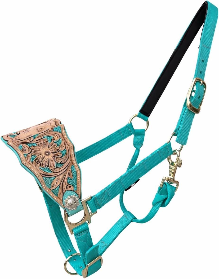 Majestic Ally Western Horse Bronc Halter, Turquoise Padded Leather Noseband, Antique Finish, Tooled Floral Design, Adjustable Nylon