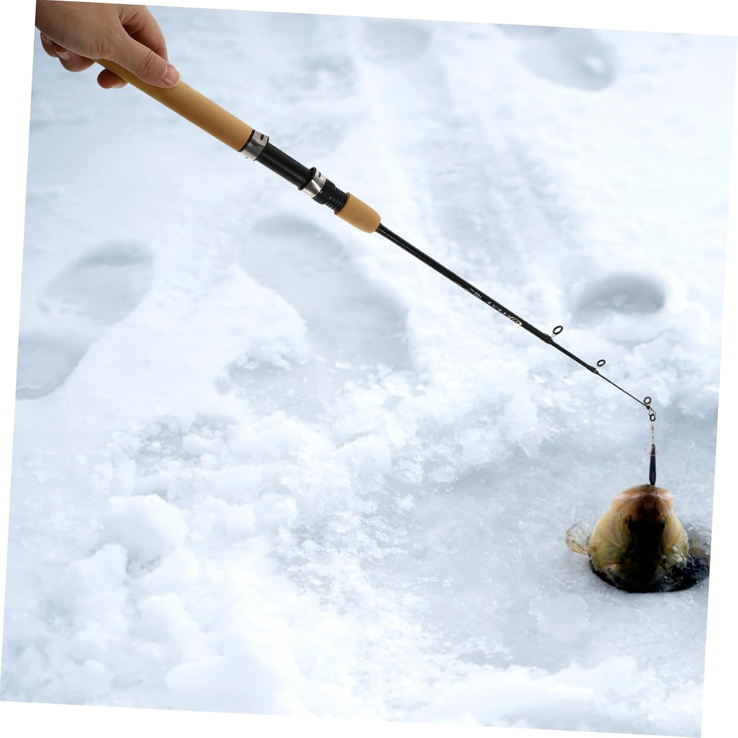 Carbon Shrimp Fishing Rod Adjustable Short Compact Tough Handle | Ice Fishing, Shrimp Target, Carbon Build, Comfortable Grip, Adjustable Length, Compact Profile, Tough Feel