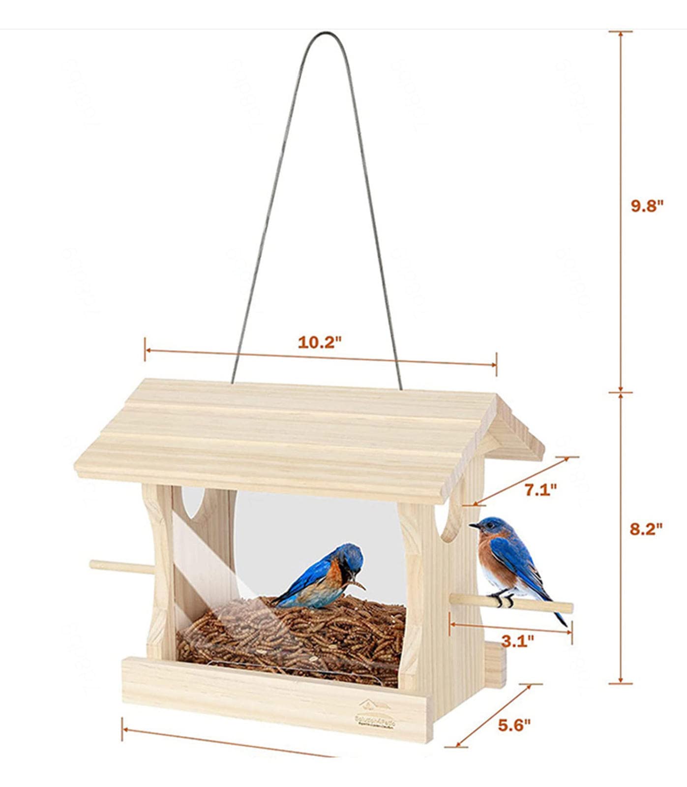 Vogelstangen-Nest-Spielständer, interaktiver Spielplatz für Fitnessstudio/Papagei, Vogelstangen-Plattformständer, Schaukelbrücke, für Kleintiere, Papageien
