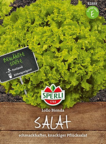 Preisvergleich Produktbild Sperli Pflücksalat Lollo Bionda