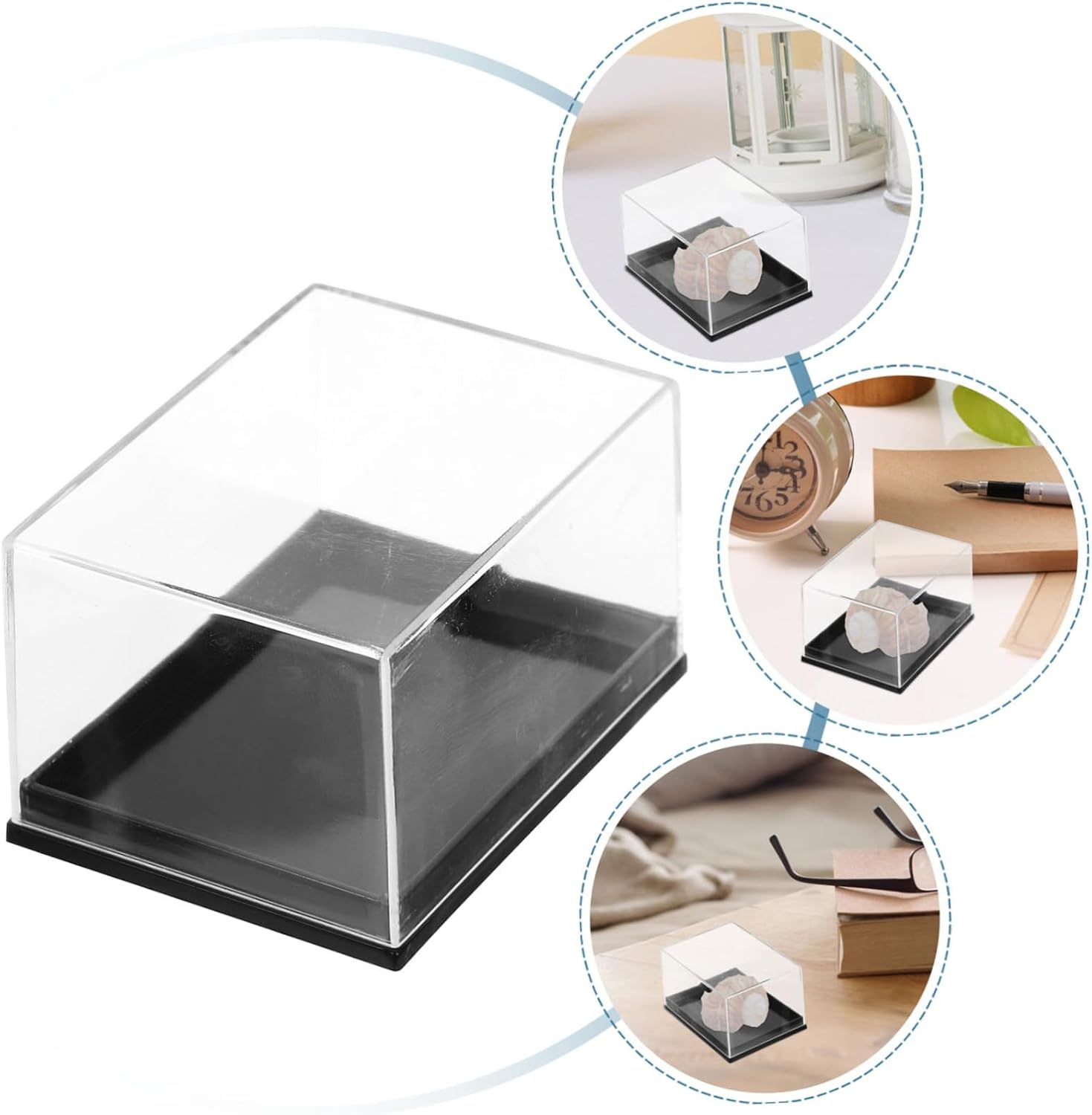 16pcs Transparent Specimen Display Case Jewelry Storage Container for Minerals Shells and Crafts and Sturdy Organizer Box for Desktop Use