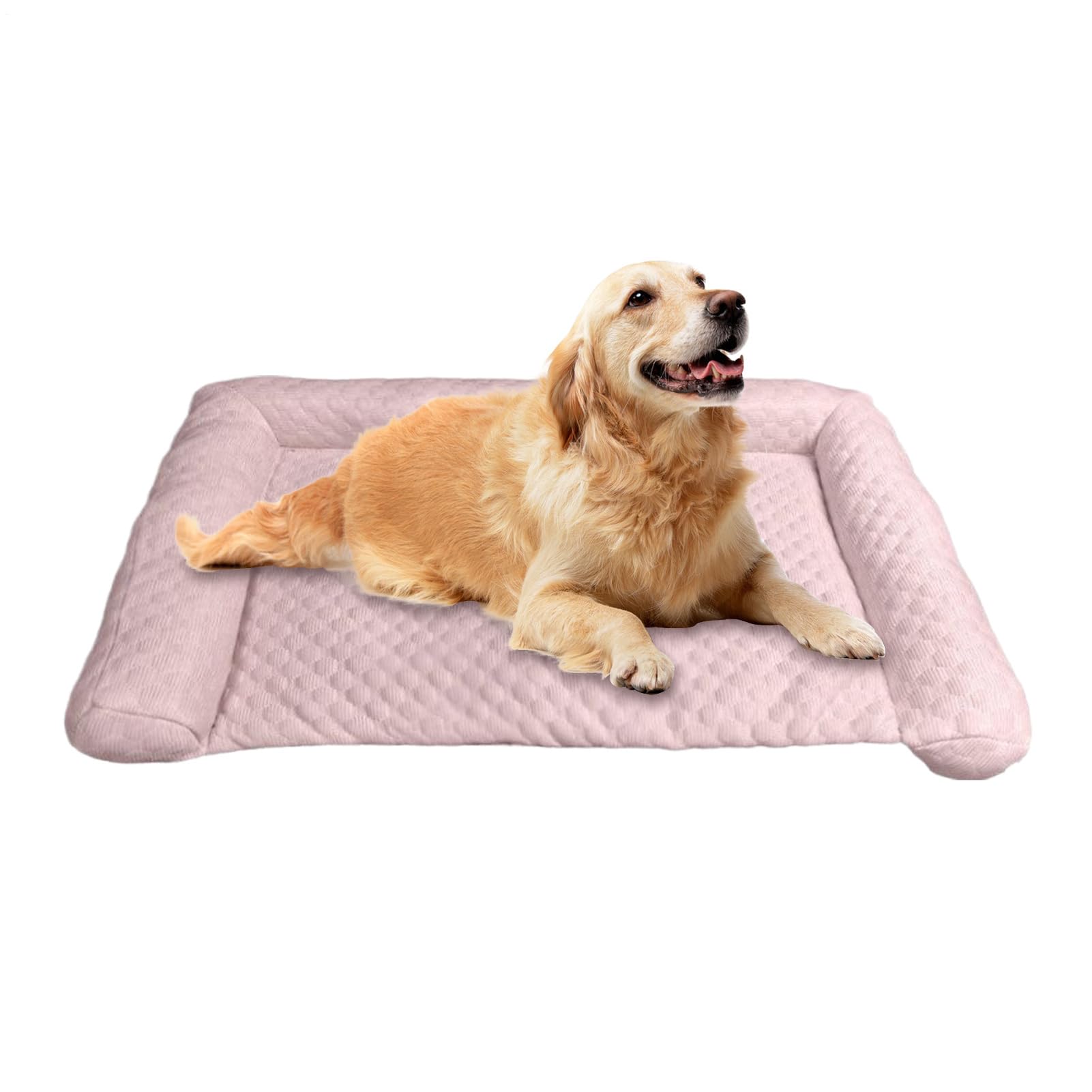 Tapis de refroidissement pour chien pour soulager les fortes températures