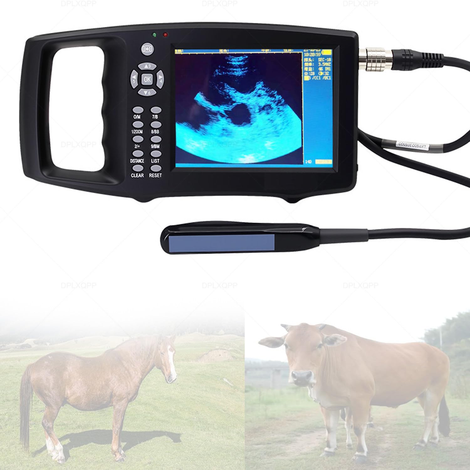 échographe Vétérinaire Portable,Appareil échographie avec Sondes (M1, M2, M3) pour Diagnostic De Gestation des Porcs,Bovins,Ovins,Chevaux,Chiens & Chats,écran LED 5.6" M3