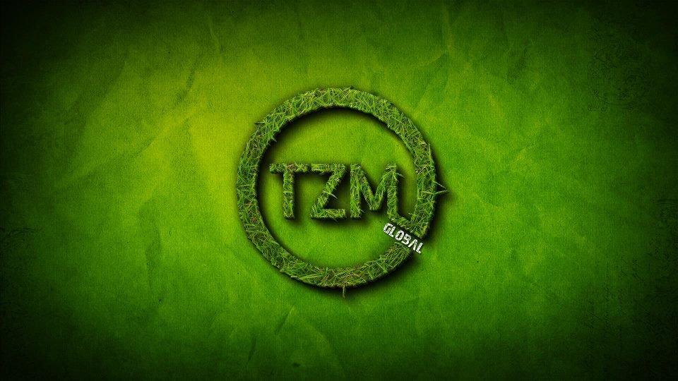 The Zeitgeist Movement Defined Realizing a New Train of Thought