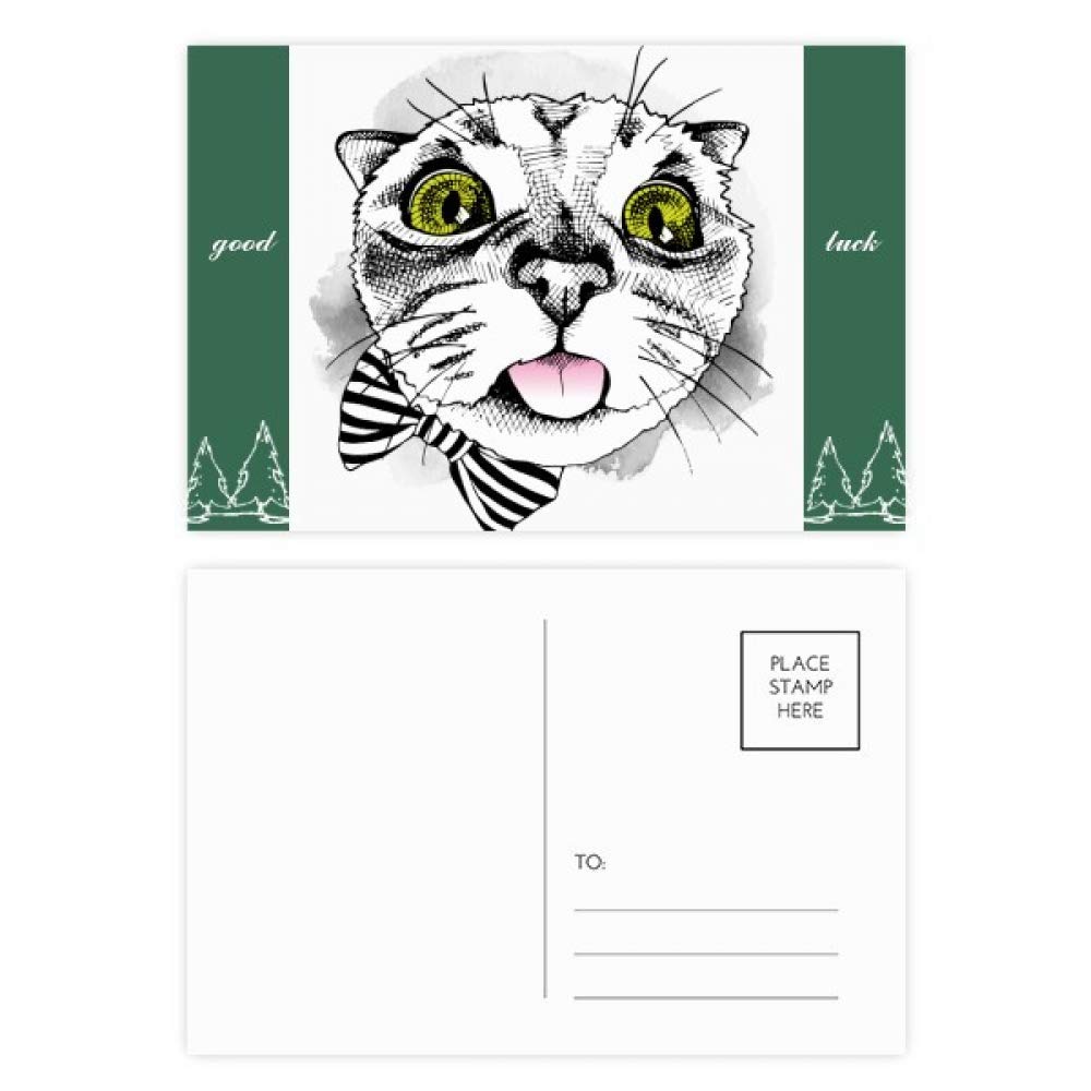 Cartes postales chat blanc DIYthinker 20pcs pour amoureux de faune