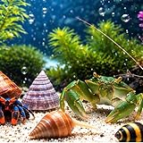 Clean Up Crew Pack Live Coral Reef Tank for...