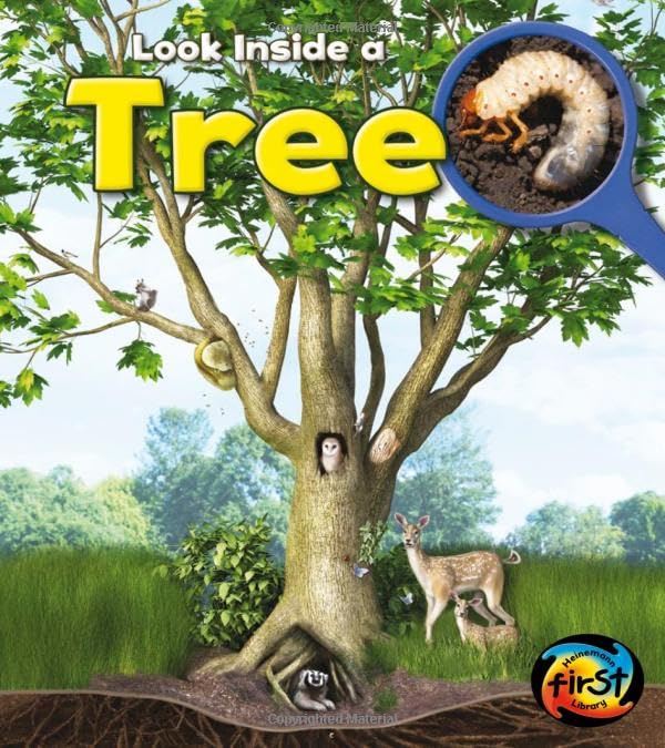 Tree: Look Inside