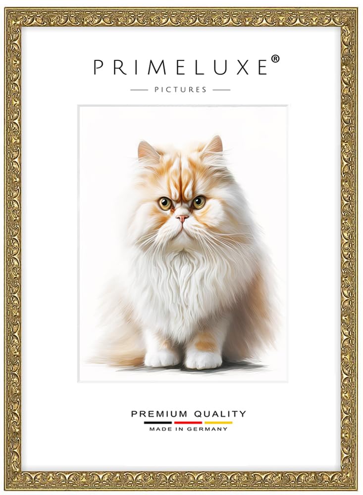 PrimeLuxe Cornice portafoto in legno massiccio, realizzata su misura, 60 x 90 cm, in oro antico, dimensioni a scelta, con vetro acrilico antiriflesso, cornice per poster, puzzle, collage fotografico