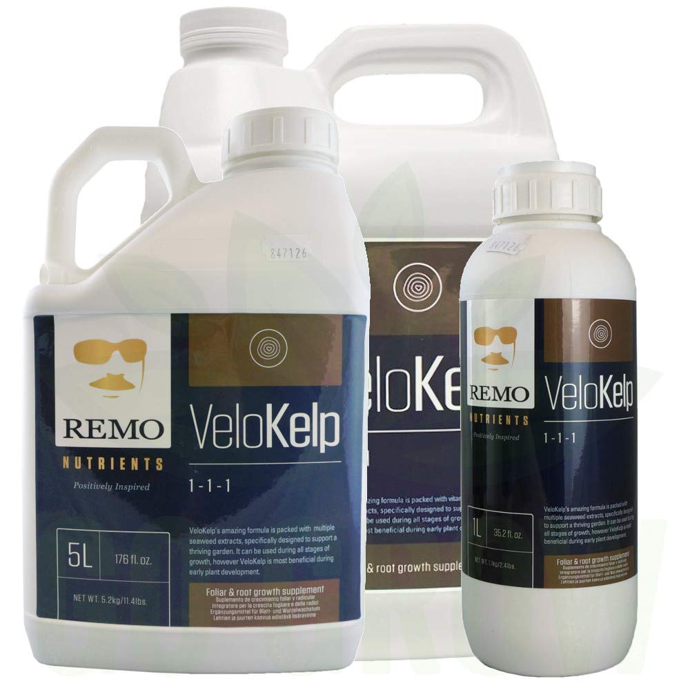 Health Boosters - Velokelp - Remo Nutrients - 5L