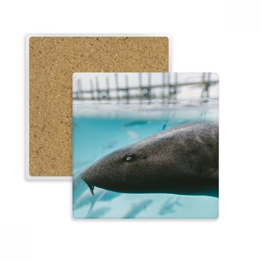 Porte-tasse requin multicolore en pierre absorbante, idée cadeau originale océan