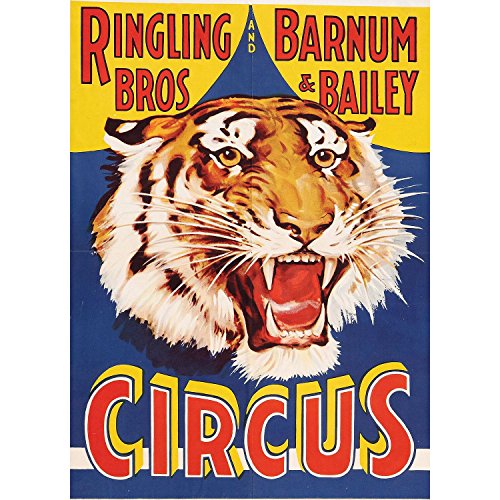 Affiches cirque tigre géantes pour habiller un grand mur vide facilement