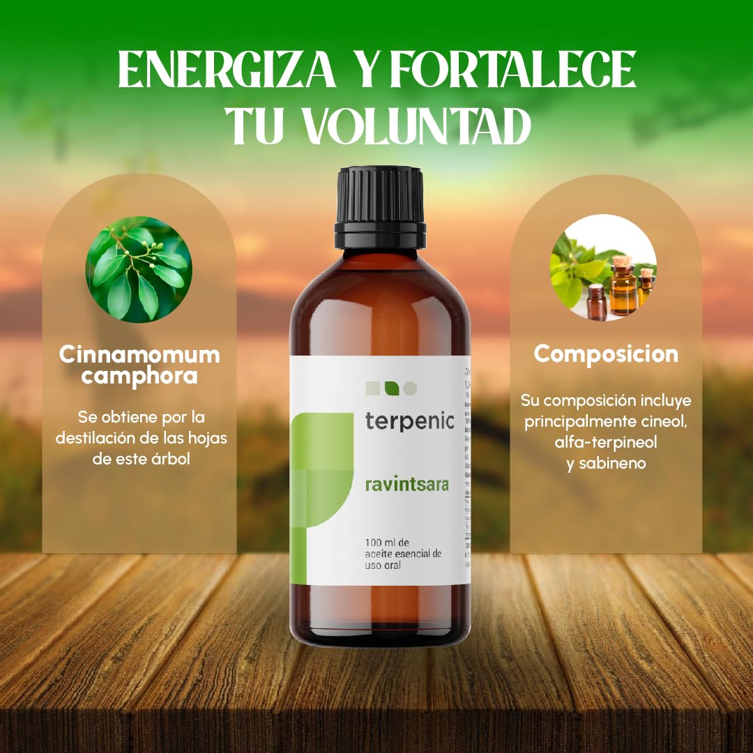 TERPENIC - Aceite Esencial de Ravintsara (Cinnamomum camphora) - 100 ml - Uso Oral – Formato profesional de alto rendimiento