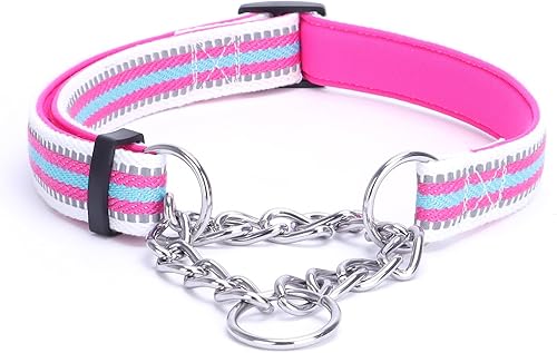 LOS ANDES Collar Martingale para perros, collar reflectante para perro, collar de entrenamiento acolchado ajustable para perro, collar de nailon