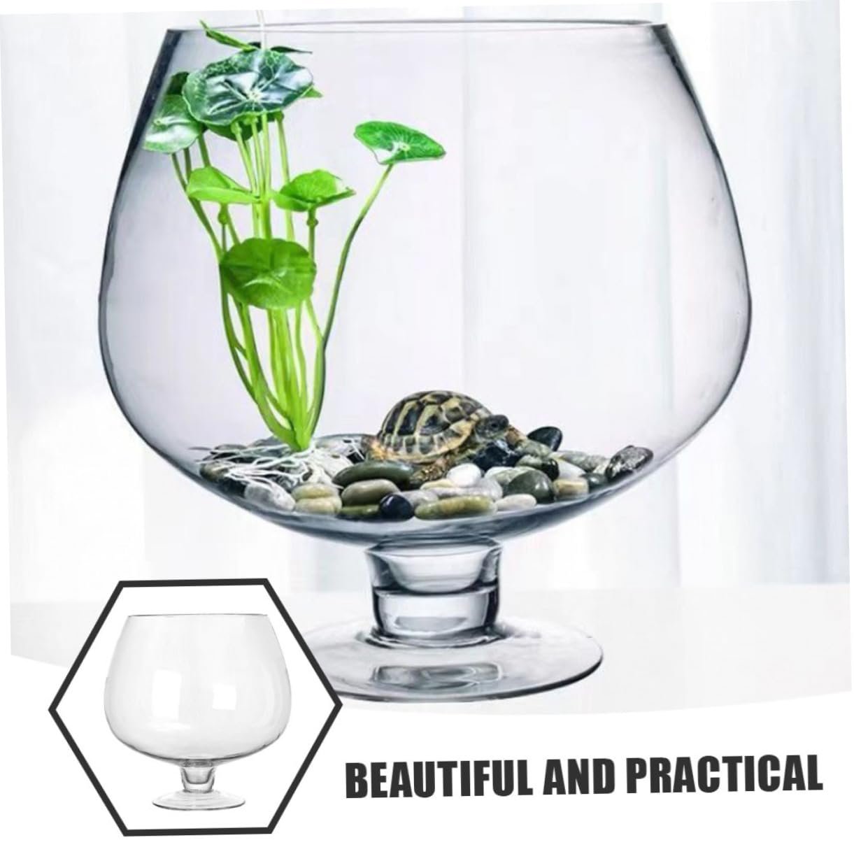 Petit Aquarium Transparent pour Poissons Betta Bocal à Poissons Verre Décoratif Et Facile à Nettoyer pour Bureau Ou Intérieur