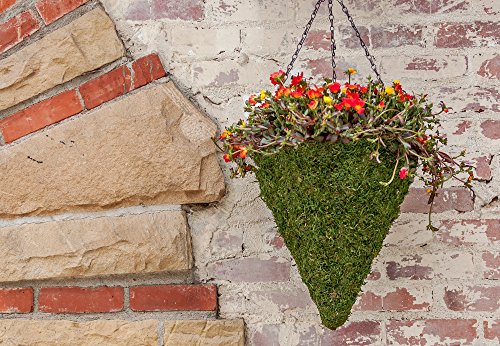 Super Moss (29280) MossWeave Hanging Basket - Cone, Fresh Green, Large (12.5)"