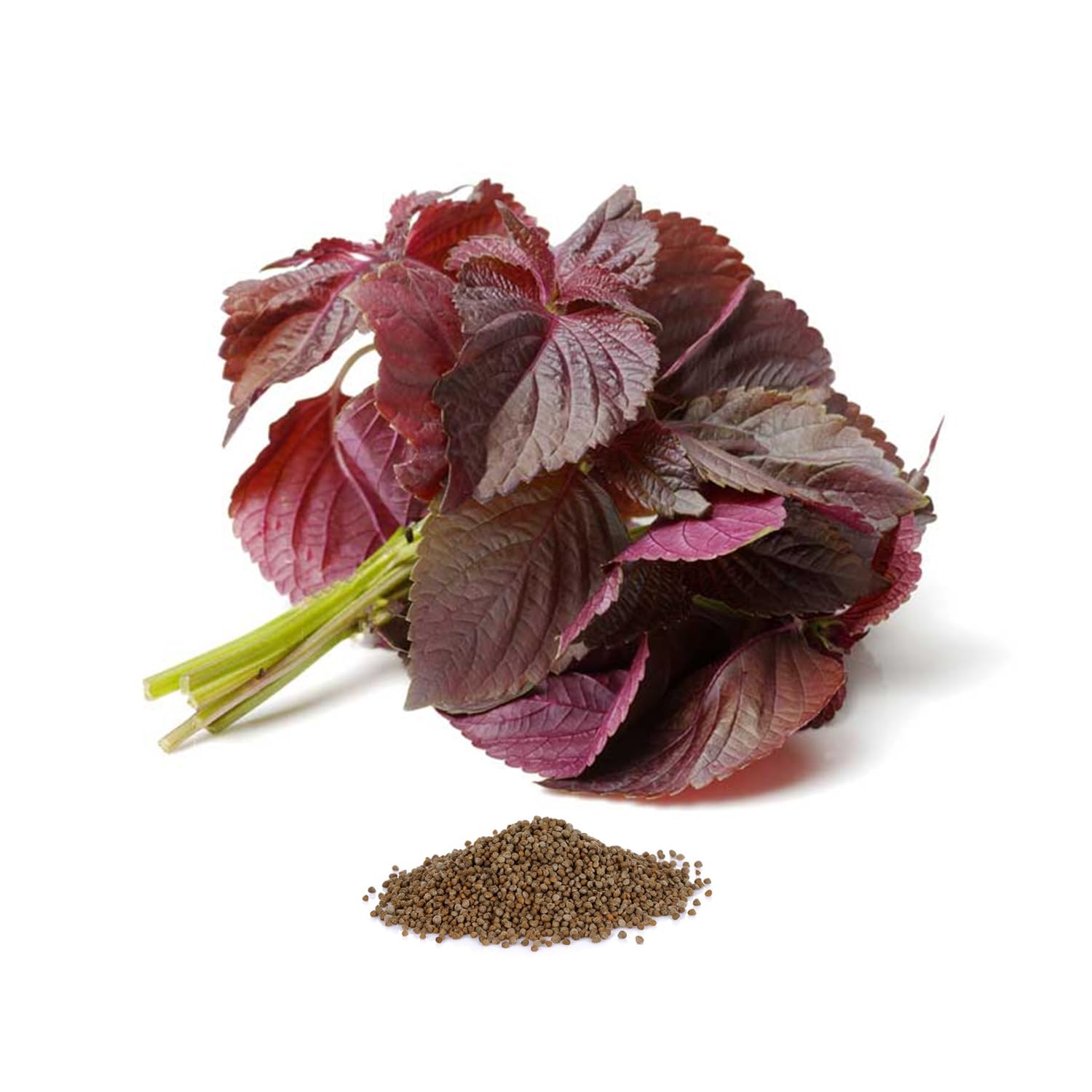 Bmore Spicy Purple Shiso Perilla seeds packet