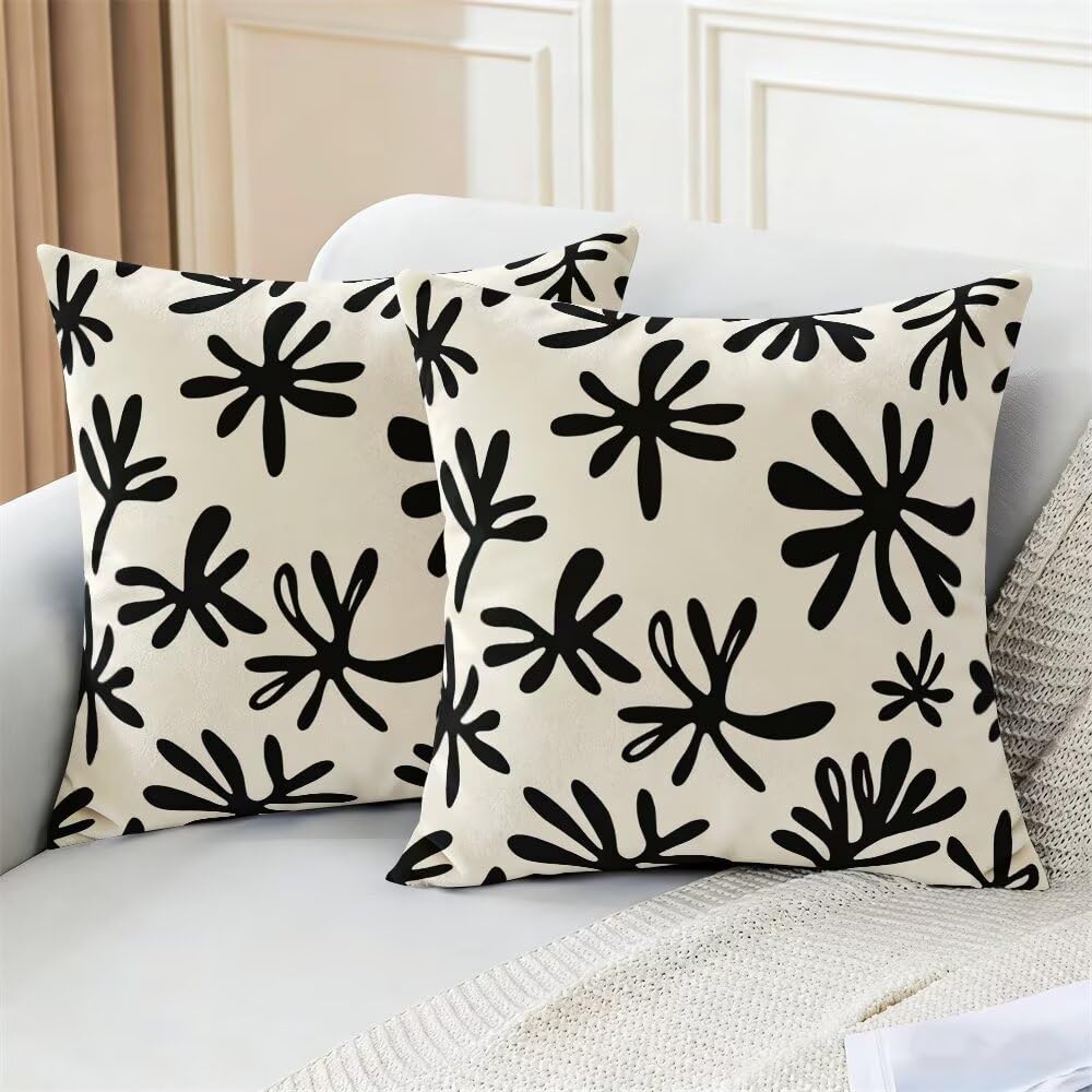 Federe Cuscini Divano 60x60 cm Federe Morbido Copricuscini Beige Nero in Velluto, 2 Pezzi Copri Cuscini per Divano Moderno Decorativi Federa Cuscino Astratto per Camera da Letto Soggiorno (IU91)