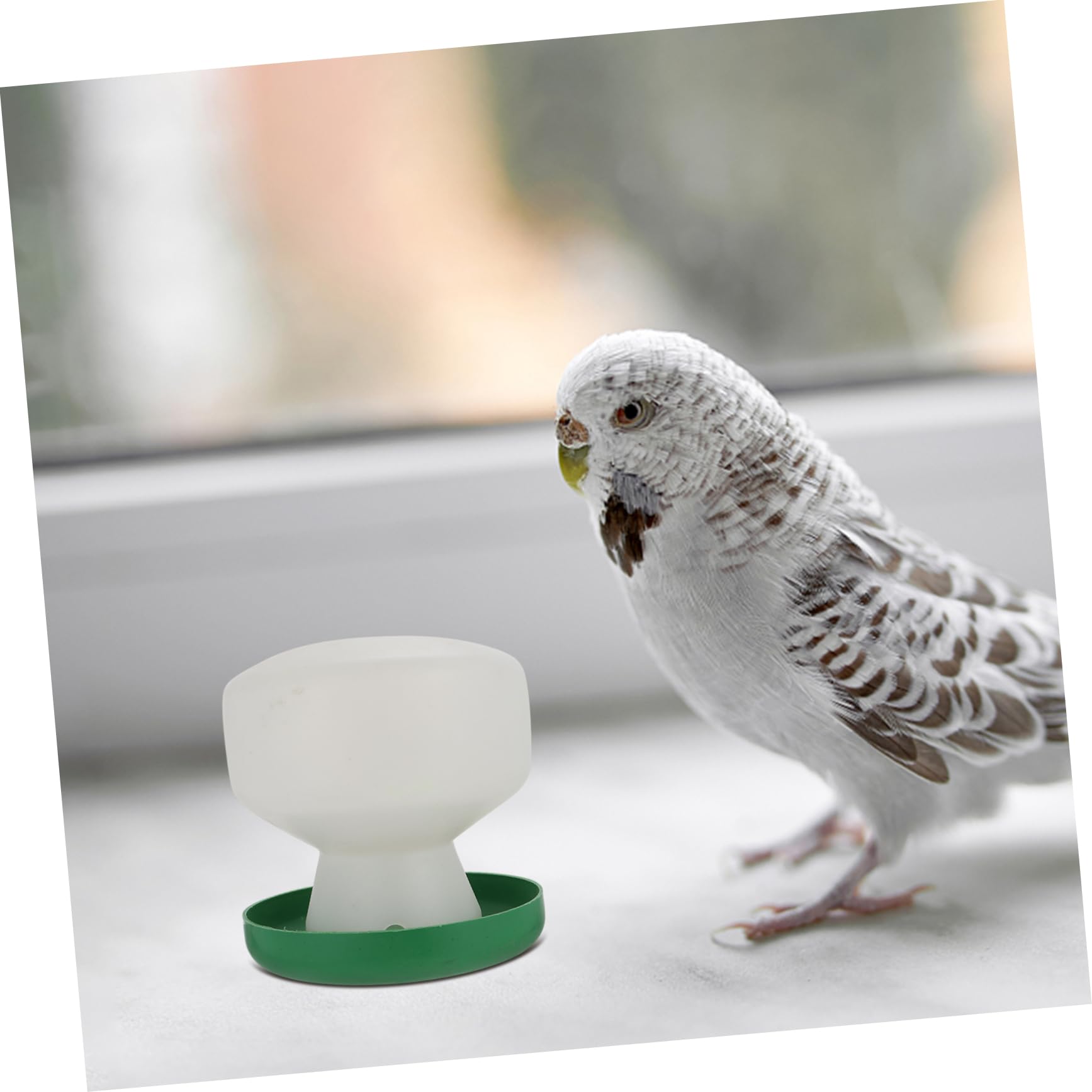 VANZACK 6pièces Distributeur Automatique Eau pour Oiseaux Lot de Accessoires Pratiques pour Perroquets Et Petits Oiseaux Conception Étanche Et