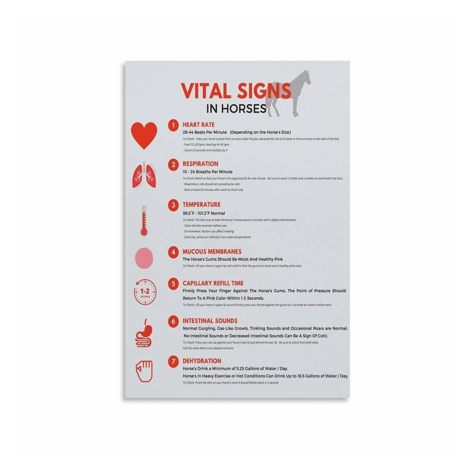 MQXFCZUX Stable and Barn Office Decor Horse Vital Signs Educational Reference Chart Poster for Equestrian Enthusiasts and Vets 8 X 12 in