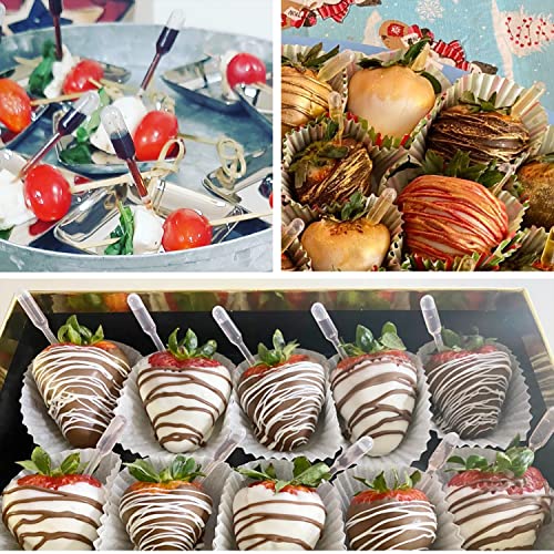 Tormen Liquid Dropper Pasteur Pipettes For Cupcakes, Strawberry, Chocolates,Whiskey,Alcohol,Syrups,Sodas(0.2Ml,12 Pcs) #TOP5