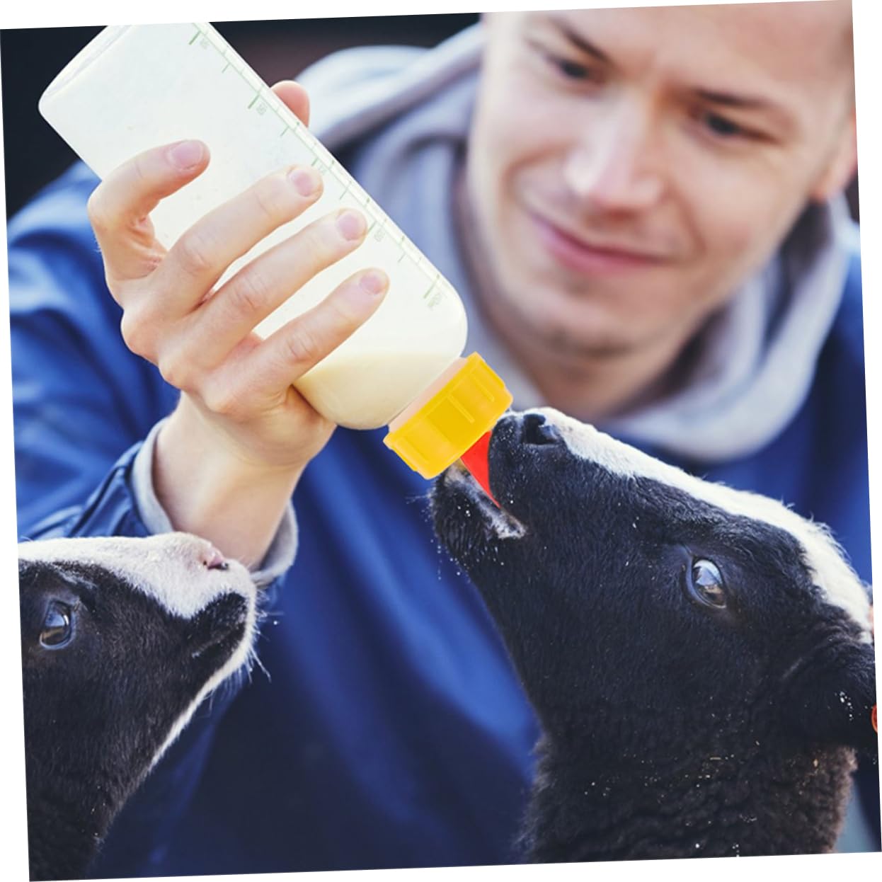 1Set Lamb Feeding Bottles Durable Calf Nursing Bottles with Removable Pacifiers for Newborn Livestock Reusable Animal Feeding Kit for Sheep Piglets and Calves