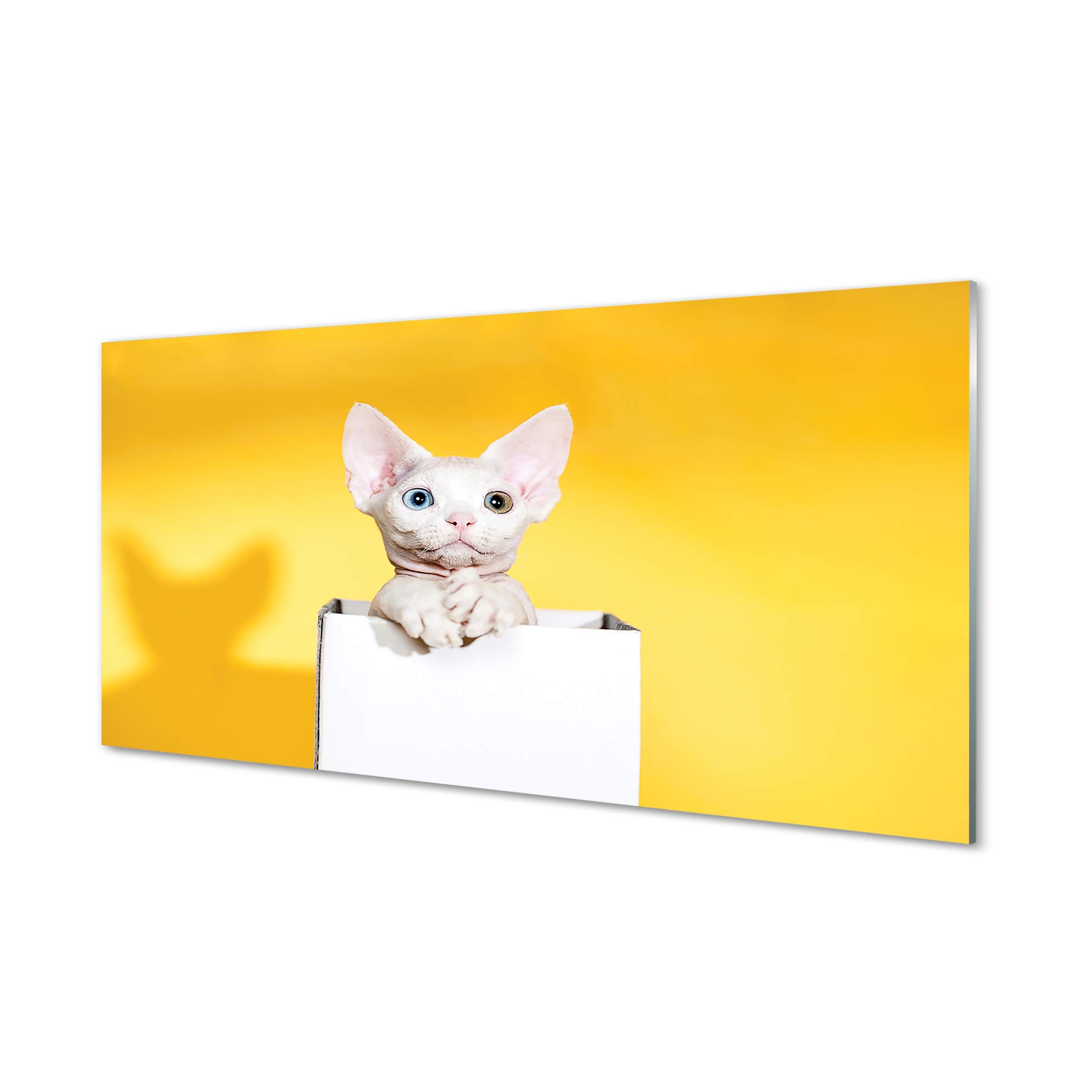 Tableau Déco Moderne Sur Verre Trempé 50x100 Cm - Animaux Domestiques Par Tulup