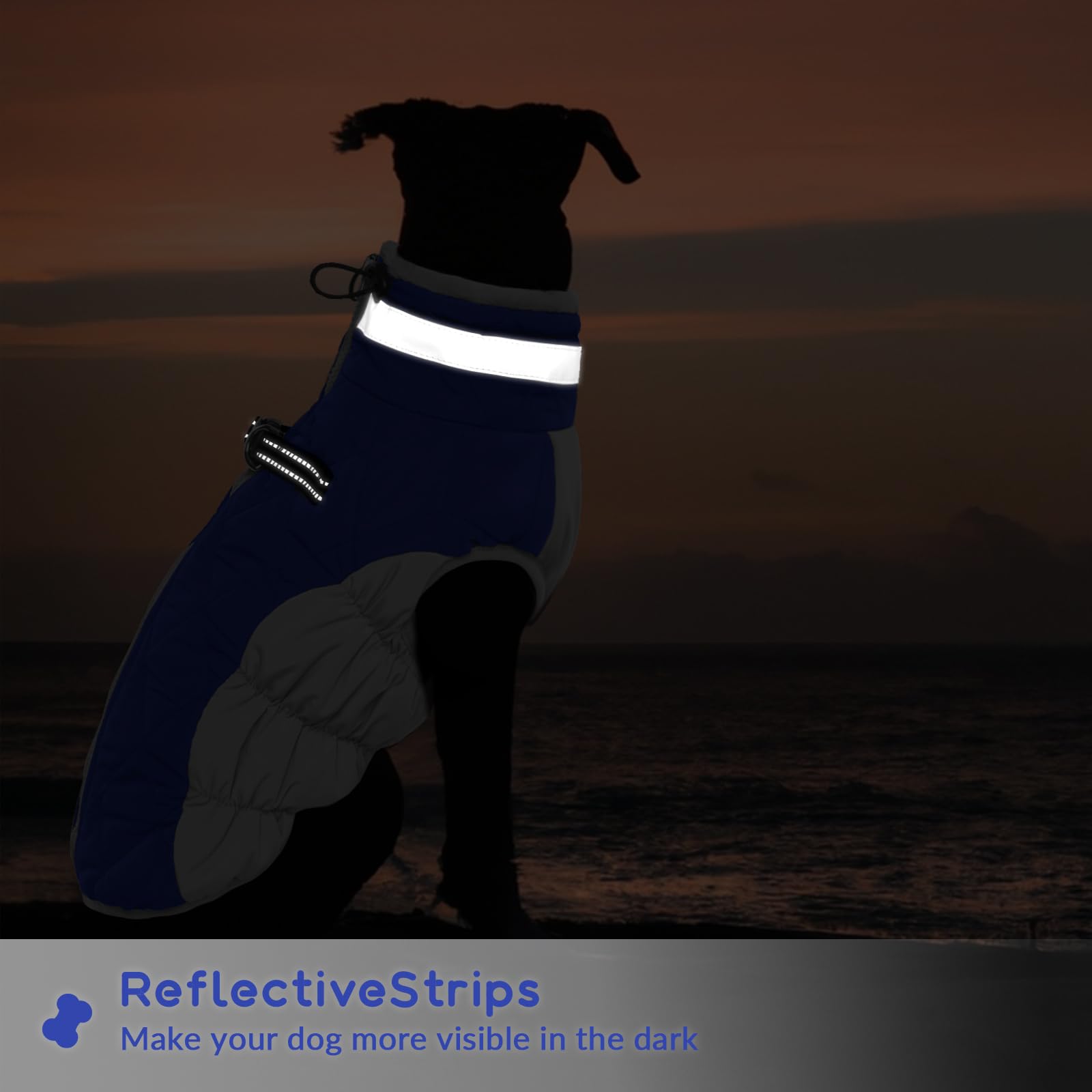 Piumino Cane XS, Cappotto per Bulldog Francese e Chihuahua, Blu