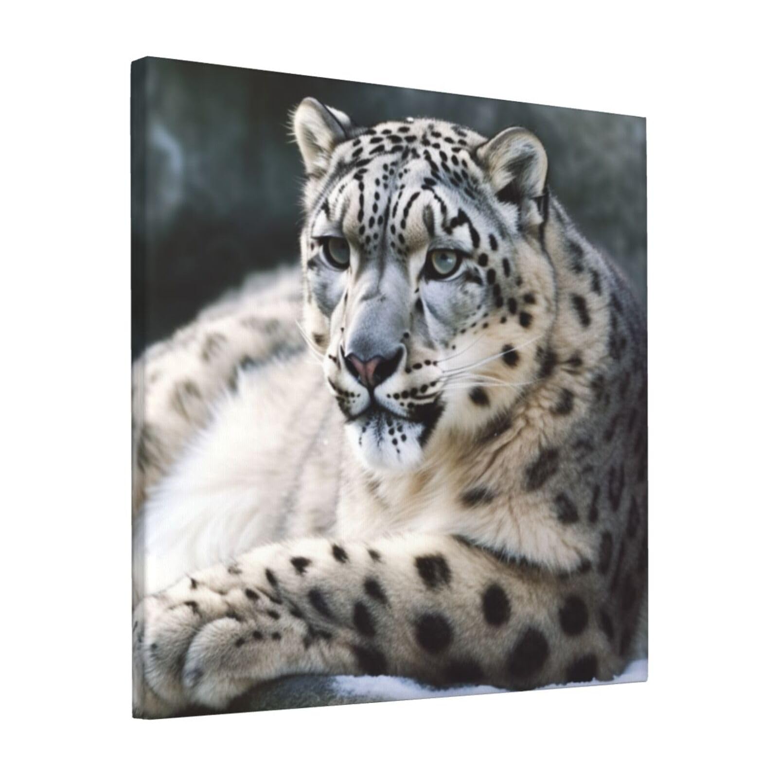 FodPand Snow Leopard Canvas Wall Art for Living Room Wall Decor 12"x12" Modern Artwork Painting Pictures Hanging Canvas Prints Aesthetic Wall Art for Bedroom Bathroom Office Wallart Decor