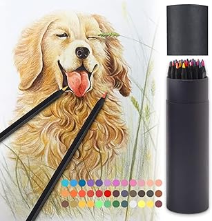 FRAUTOPARTS Colouring Pencils 36 Pcs Professional Colored Drawing Pencil Set Pre-Sharpened Soft Core Coloured Pencils Kit for Adult Beginne Sketching, Doodling, Painting, Writing Colouring Book