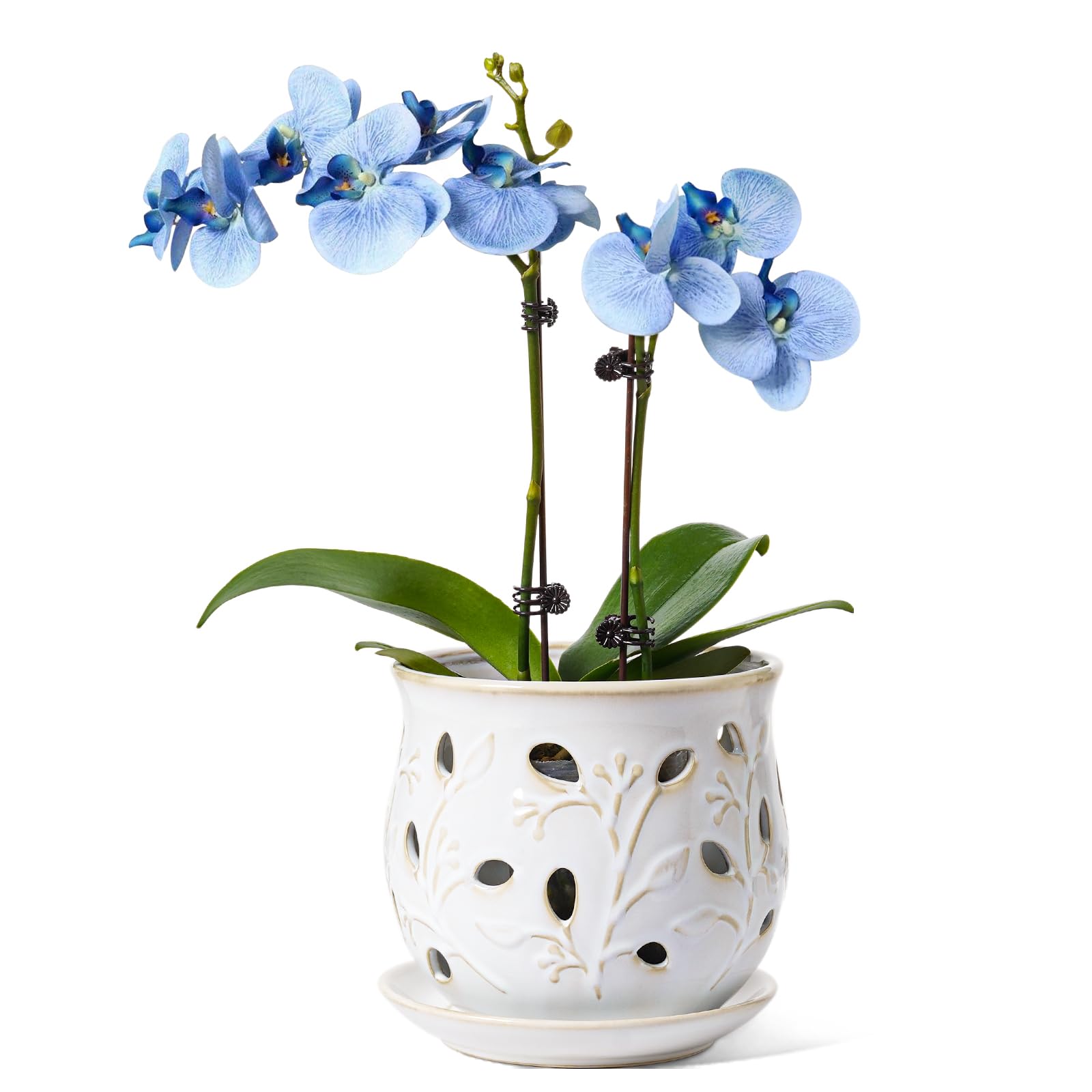 LE TAUCI Ceramic Orchid Pot 6.5 Inch