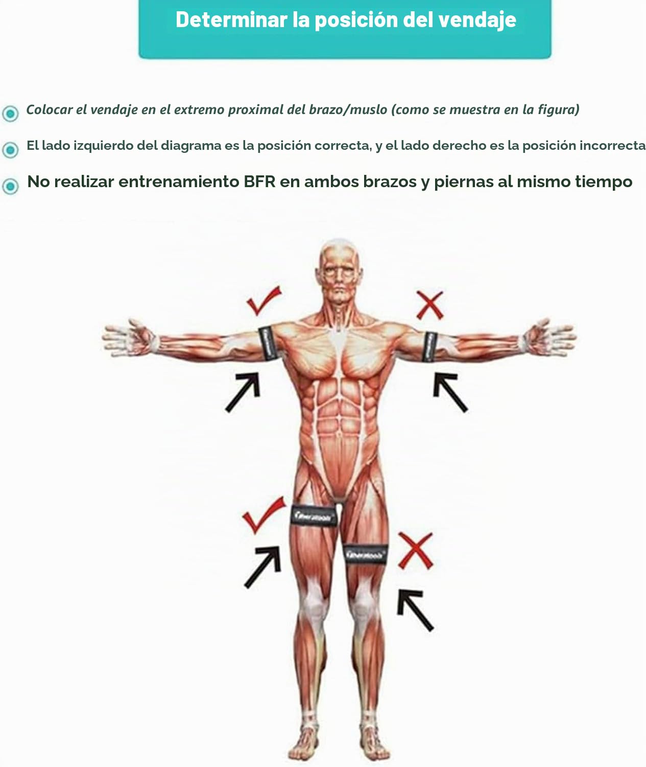 Bandas de restricción de Flujo sanguíneo, Sistema de Entrenamiento BFR | bandas de oclusión con medidor de presión, brazos de grado profesional, bandas de oclusión para hombres y mujeres