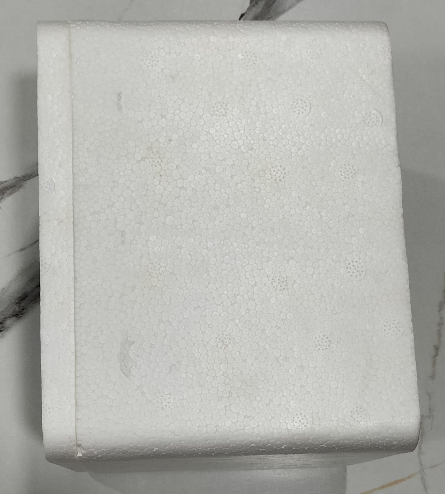 Insulated Ice Box - 1L Keeps Food Cool -4