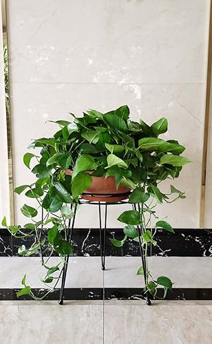 Miniatura 4 de iLTreFlo Midcentury - Soporte de metal moderno para macetas de 18.7 pulgadas de alto, contenedor grande de hierro inoxidable para jardín, estante