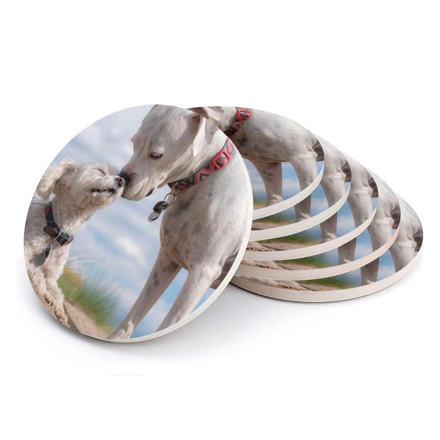 Sous verre ronds en céramique pour apéritif convivial, design chien dogue et caniche