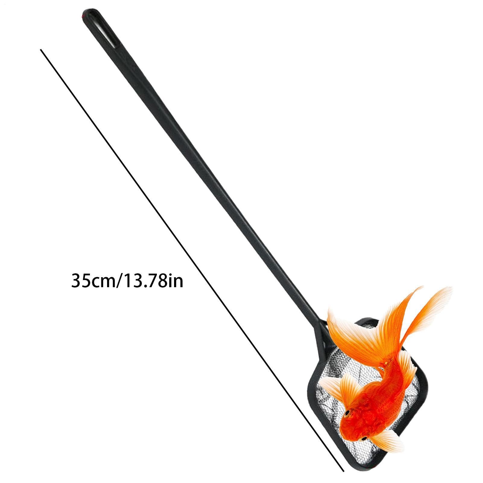 Filet Écumoire De pour Piscine Fine et Lisse